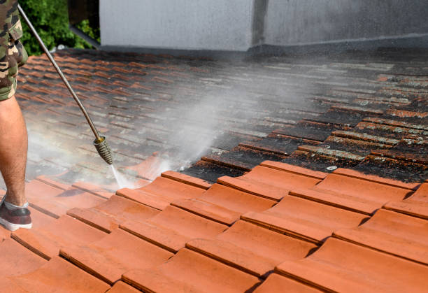 Best Pressure Washing Patio  in Nth Plains, OR